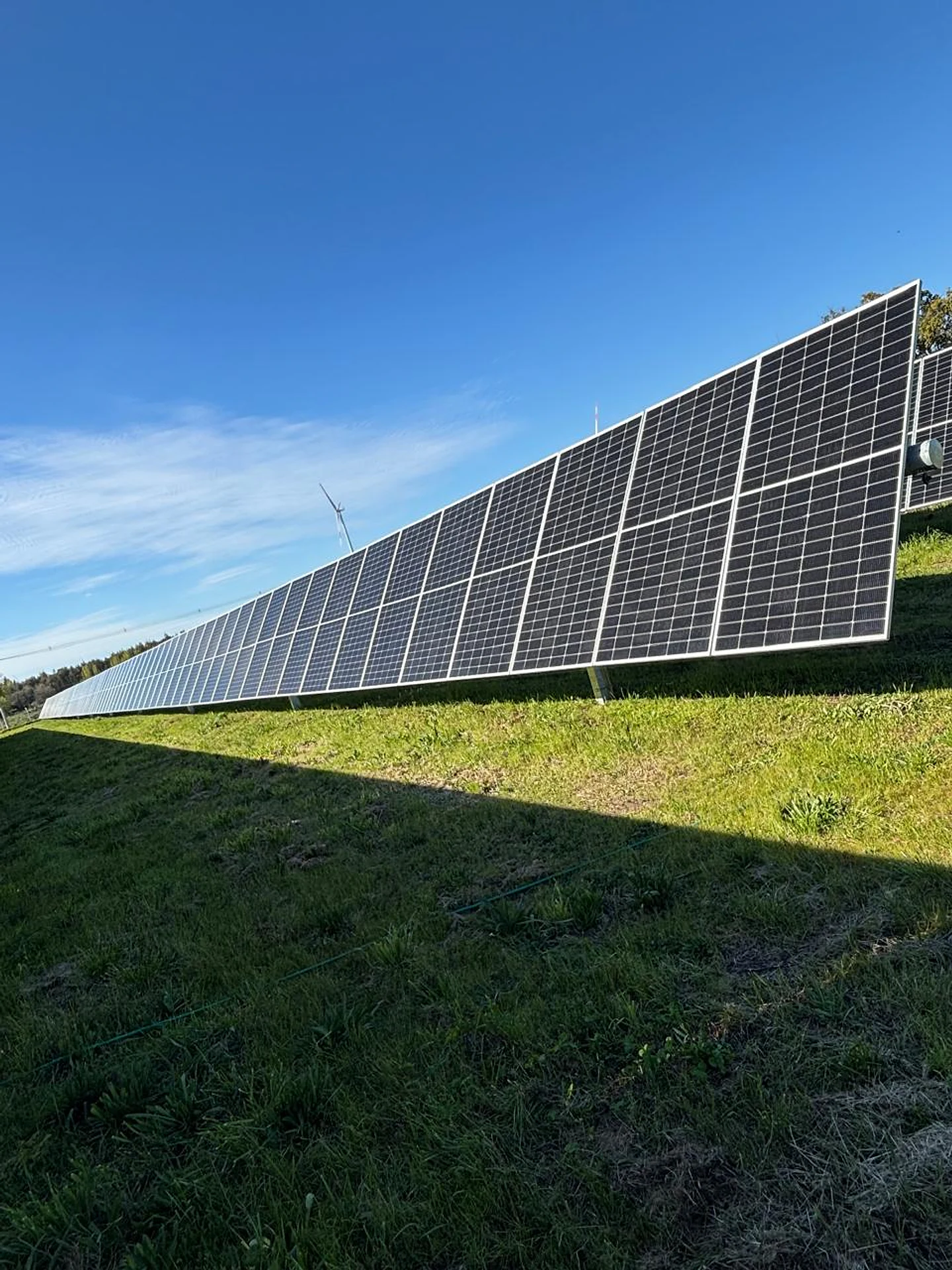 Gran hilera de paneles solares sobre terreno verde